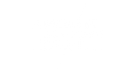AmCham Business Summit logo